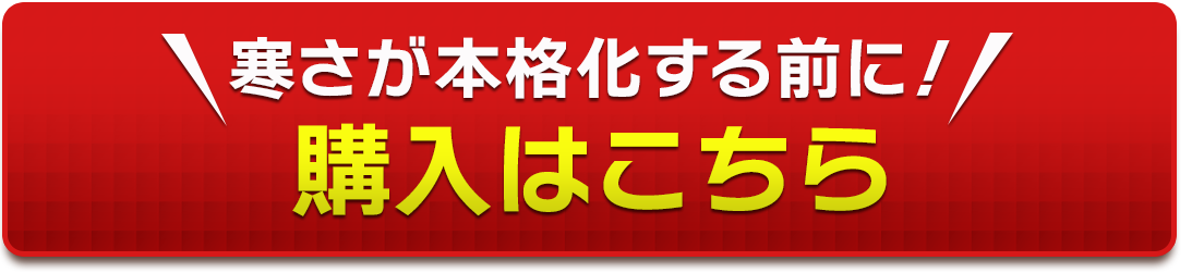 TAKUMI公式サイト購入ページ